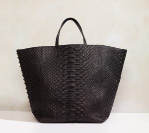 celine nile bag