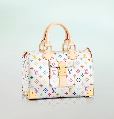 Louis Vuitton Speedy Bag Reference Guide | Spotted Fashion