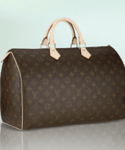 Louis Vuitton Speedy Inspiration - Spotted Fashion