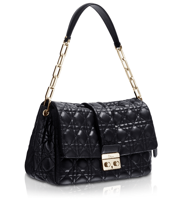 Dior 20222023 Autumn Winter Collection Review   Dior bag Bags Dior