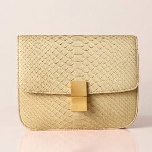 celine box bag python