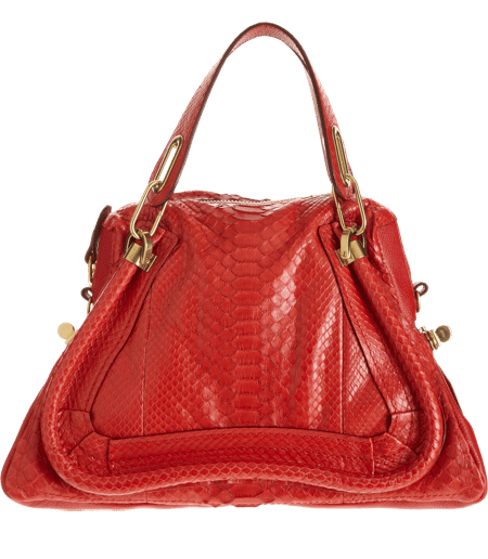 Chloe Python Bags Reference Guide - Spotted Fashion