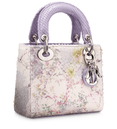 Lady Dior Micro Bag Reference Guide - Spotted Fashion