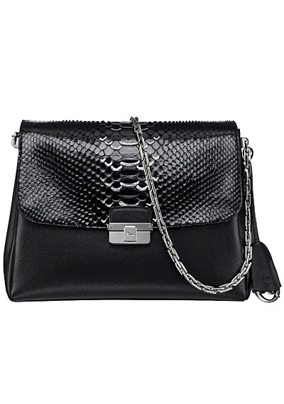 Dior Diorling Bag Reference Guide - Spotted Fashion
