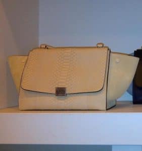 celine nile bag