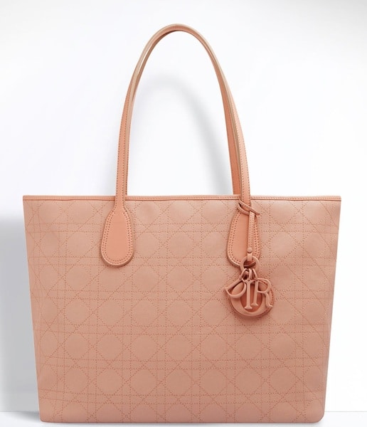 Christian Dior Panarea Shoulder Bag in Pink Canvas – Fancy Lux