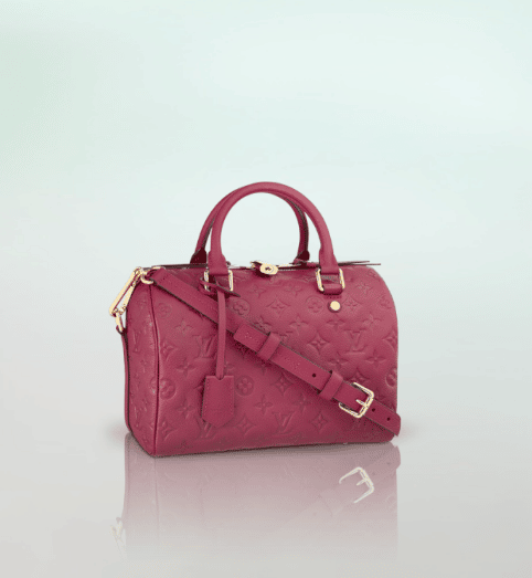 Size Guide of the Louis Vuitton Speedy 20 in Empreinte Leather - Spotted  Fashion