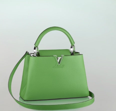 Louis Vuitton Capucines Handbag Storage Size Guide – Luxury