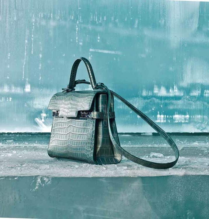 Delvaux Tempete PM Himalaya Crocodile Limited Edition Bag in 2023