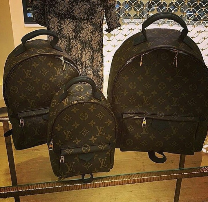Louis Vuitton Palm Springs Backpack Bag Reference Guide | Spotted Fashion