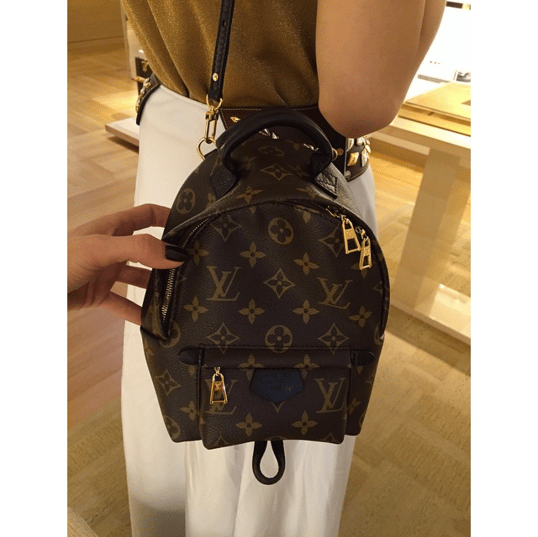 Louis Vuitton Palm Springs Backpack Bag Reference Guide | Spotted Fashion
