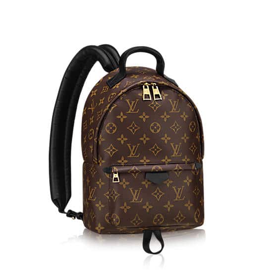 Louis Vuitton Palm Springs Backpack Bag Reference Guide - Spotted Fashion