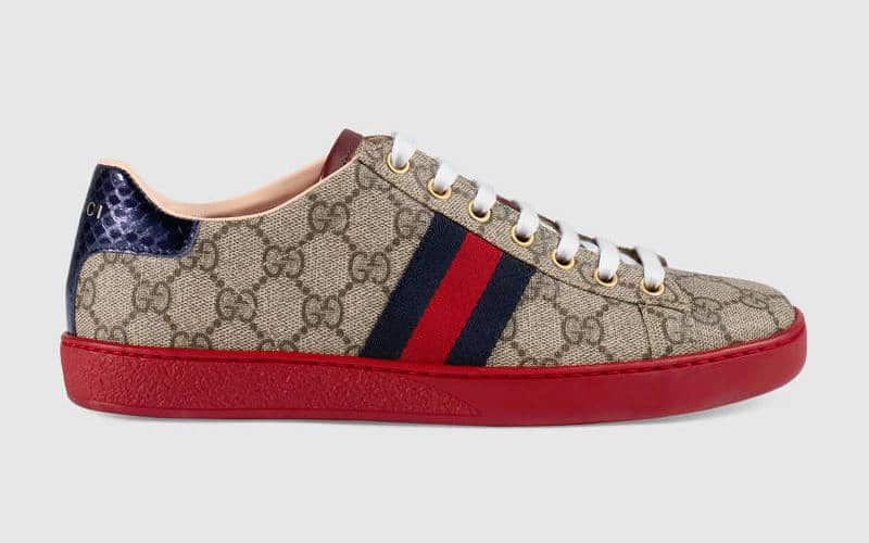 Gucci Ace Sneakers – AMUSED Co
