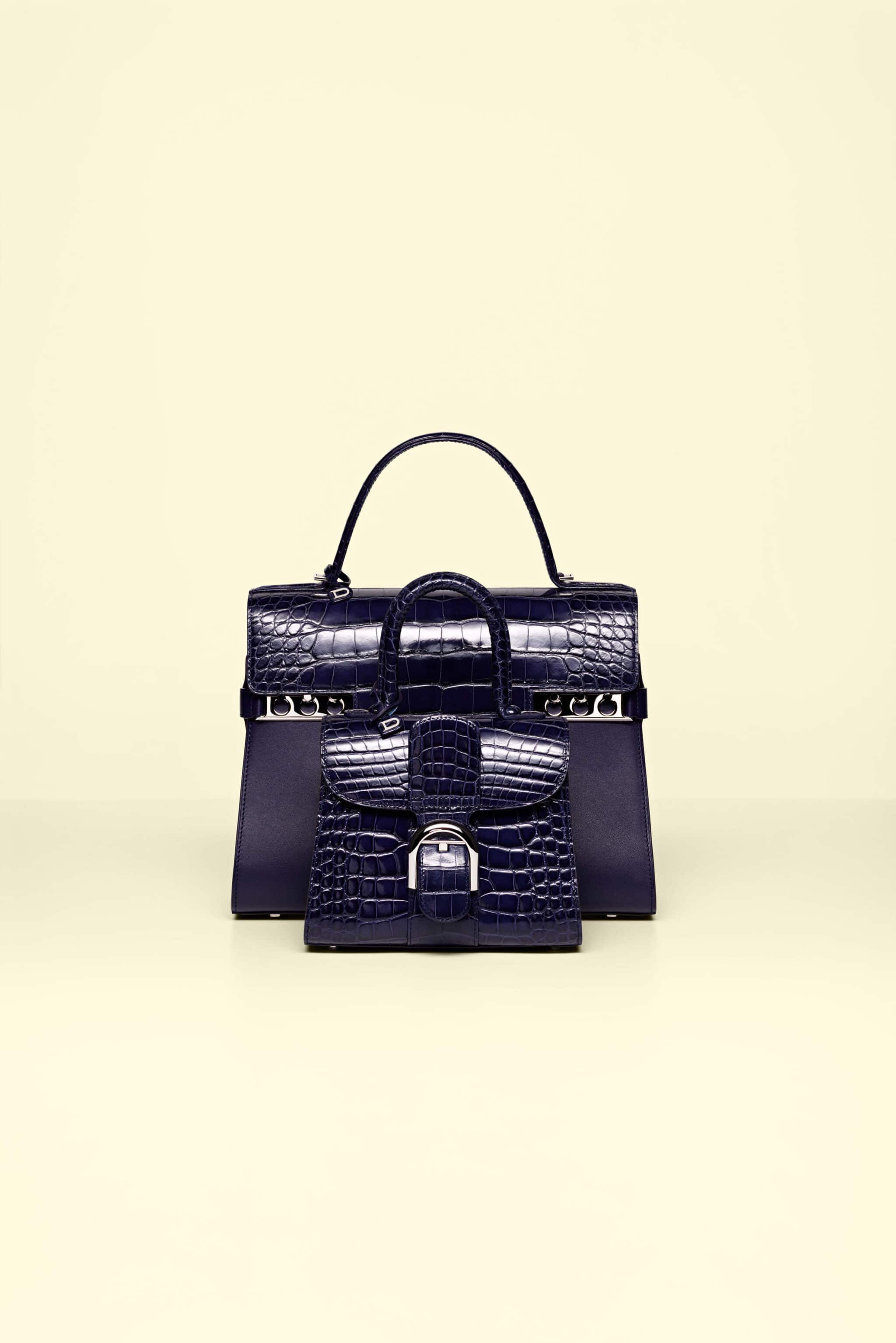Delvaux Brillant Tote Bag Reference Guide - Spotted Fashion