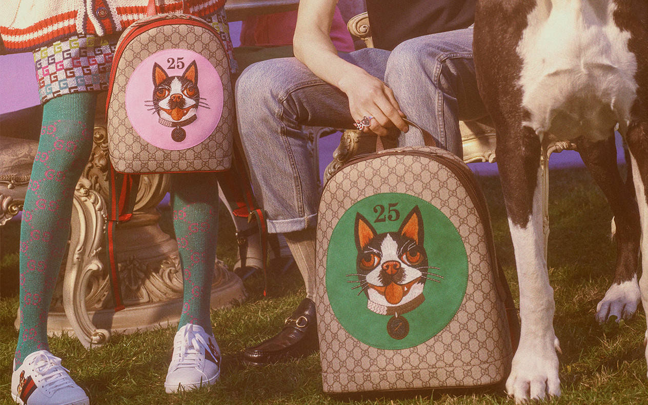 Orso and Bosco, Boston terriers of Gucci's Creative Director Alessandro  Michele appear on the Chinese New Year collection. - Gucci Stories