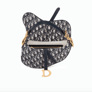 dior saddle bag size