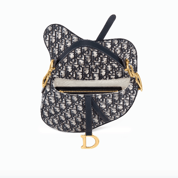 Save a horse, ride a Dior Saddle Bag 🐎 Which Dior Saddle Bag size