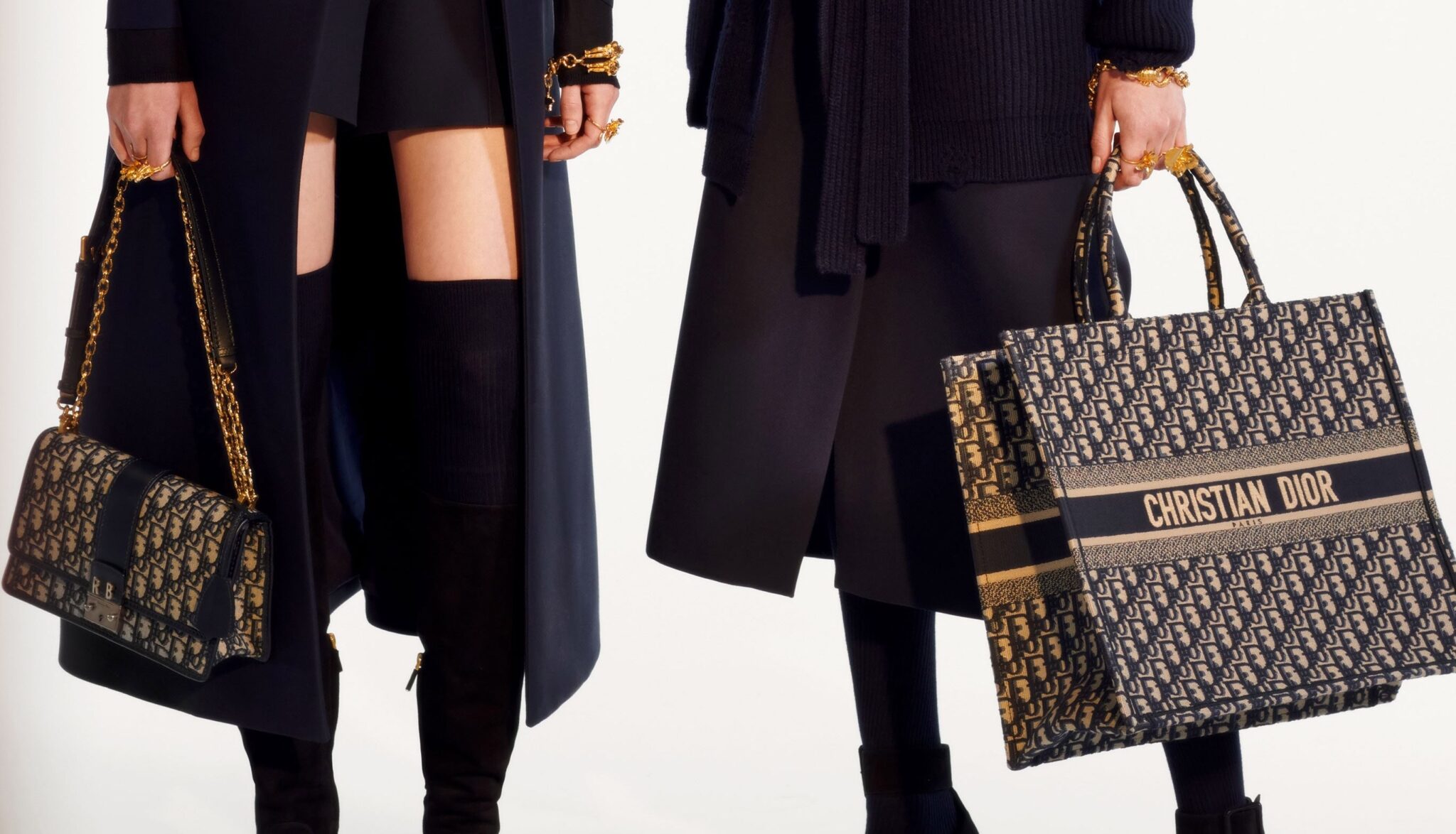 Dior Pre-Fall 2019 Bag Collection 