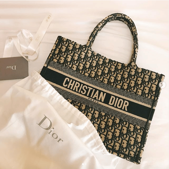 Dior Small Book Tote - BAGAHOLICBOY