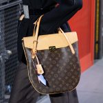 Louis Vuitton Monogram Canvas Top Handle Bag 2 - Fall 2019