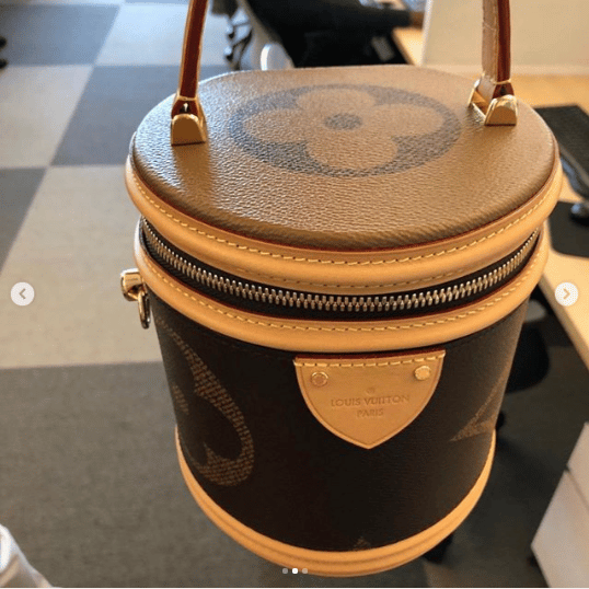 REVIEW: ALL ABOUT THE Louis Vuitton CANNES BAG 2019 (REVERSE