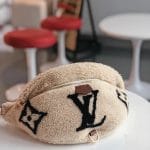 Louis Vuitton 2019 Monogram Giant Teddy Fleece Bumbag - Neutrals Waist Bags,  Handbags - LOU322837