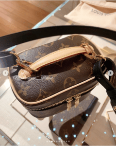 Louis Vuitton Nice Vanity Bag Reference Guide | Spotted Fashion