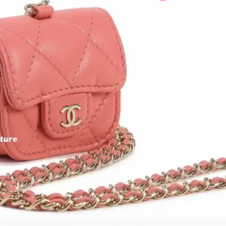 Preview of the Chanel Cruise 2021 Bags and Small Leather Goods ...