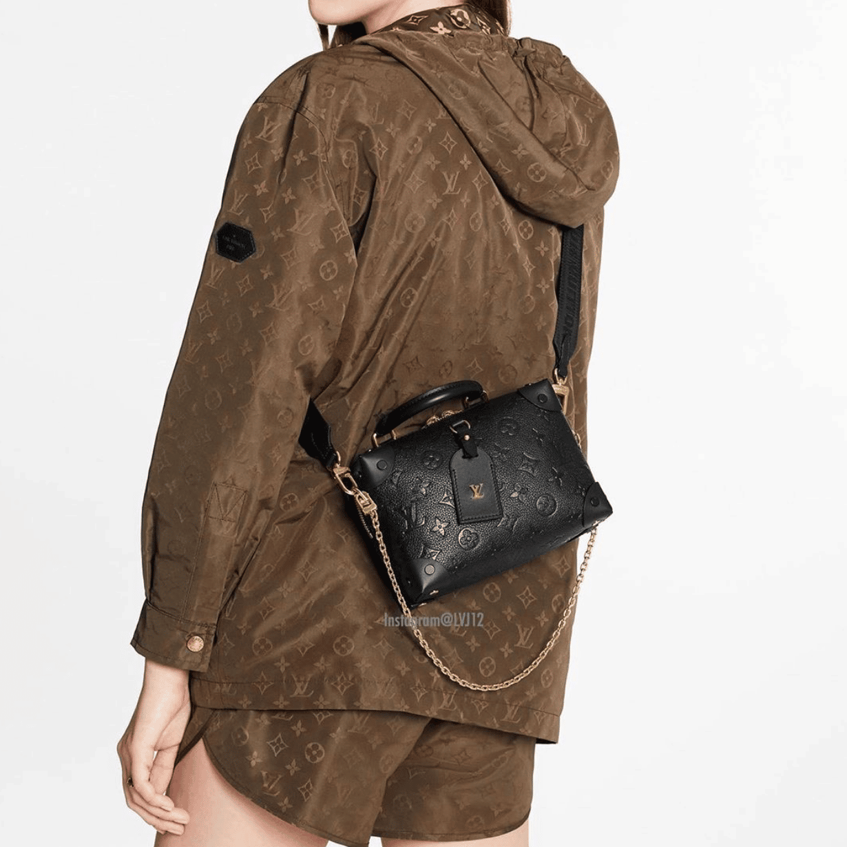 Louis Vuitton 2020 Petite Malle Souple Handbag