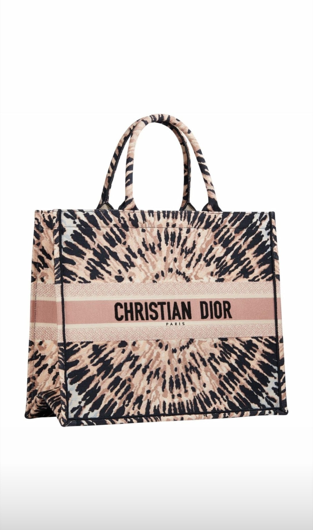 Dior Cruise 2021 Bag Collection featuring The New Dior Caro Bag - Spotted  Fashion