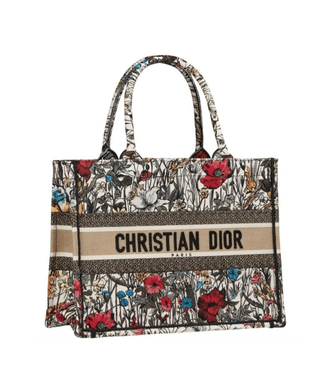 Christian Dior 2021 Cruise Dior caro multifunction pouch