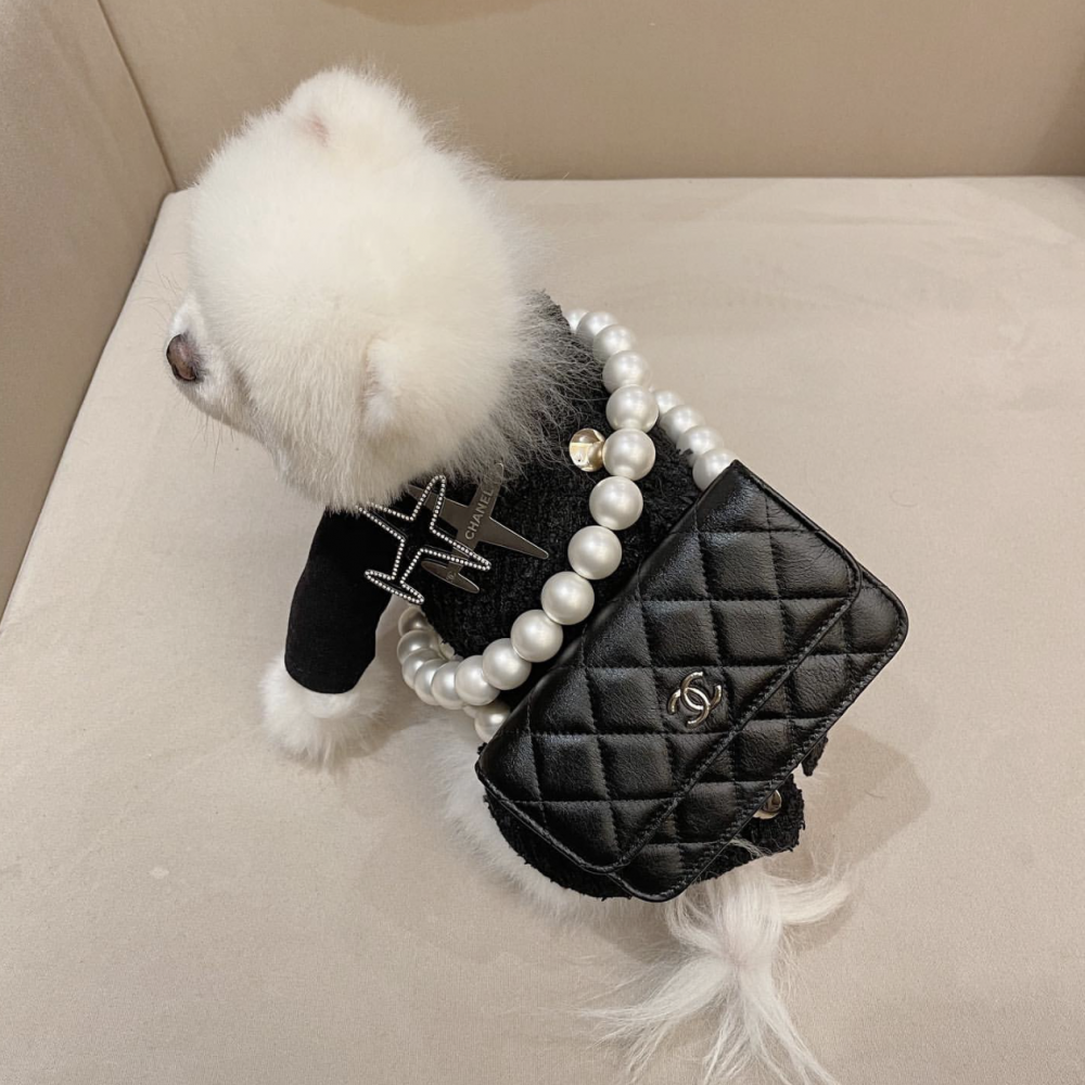 chanel mini woc with pearl strap