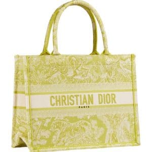 Dior Toile de Jouy Yellow Print Bag -Prefall 2021