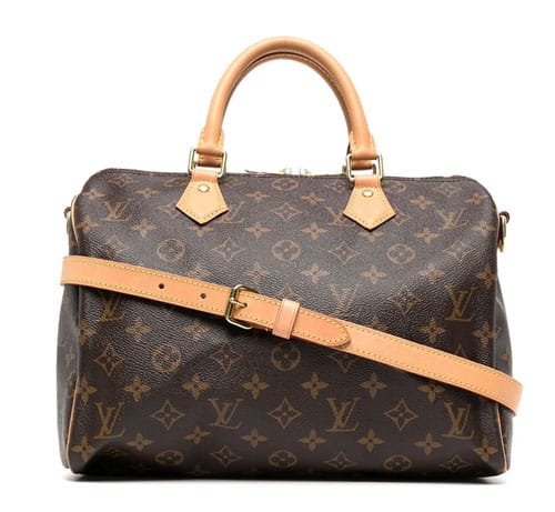 How Much Does a Louis Vuitton Purse Cost? An Easy Guide
